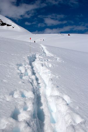 Neko Harbour, Antarctica 096.jpg